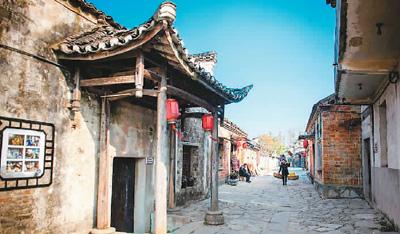 小长颈鹿逃离